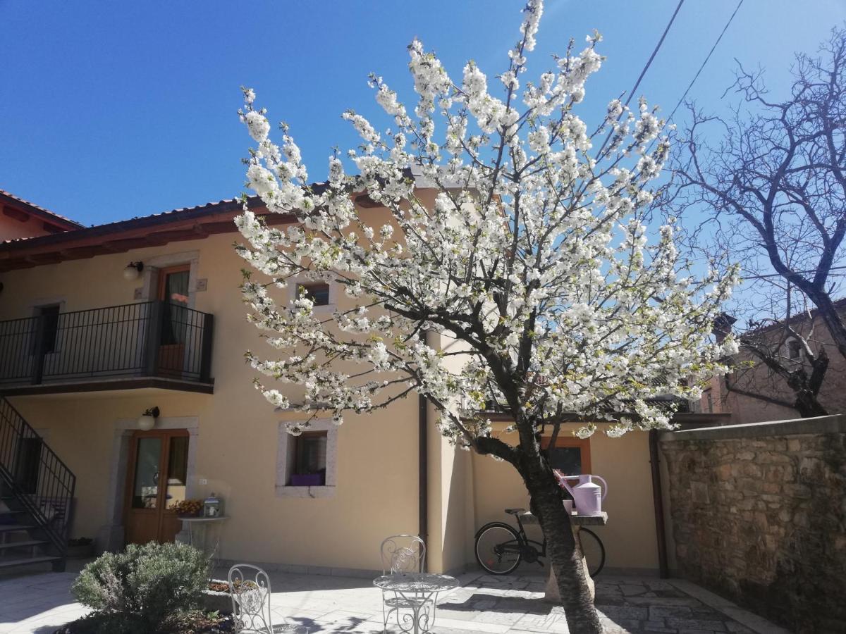 Bed & Breakfast Barbara Borgo Grotta Gigante Dış mekan fotoğraf